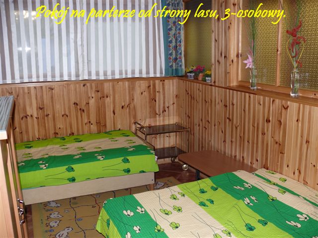 Powi�ksz: (10) Pok�j na parterze od strony lasu, 3-osobowy