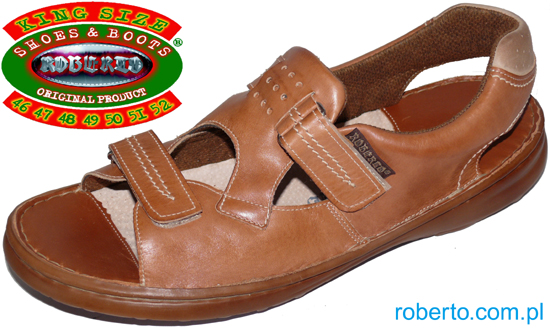 Powiksz: (130-H)ROBERTO, RO-29/D CAMEL